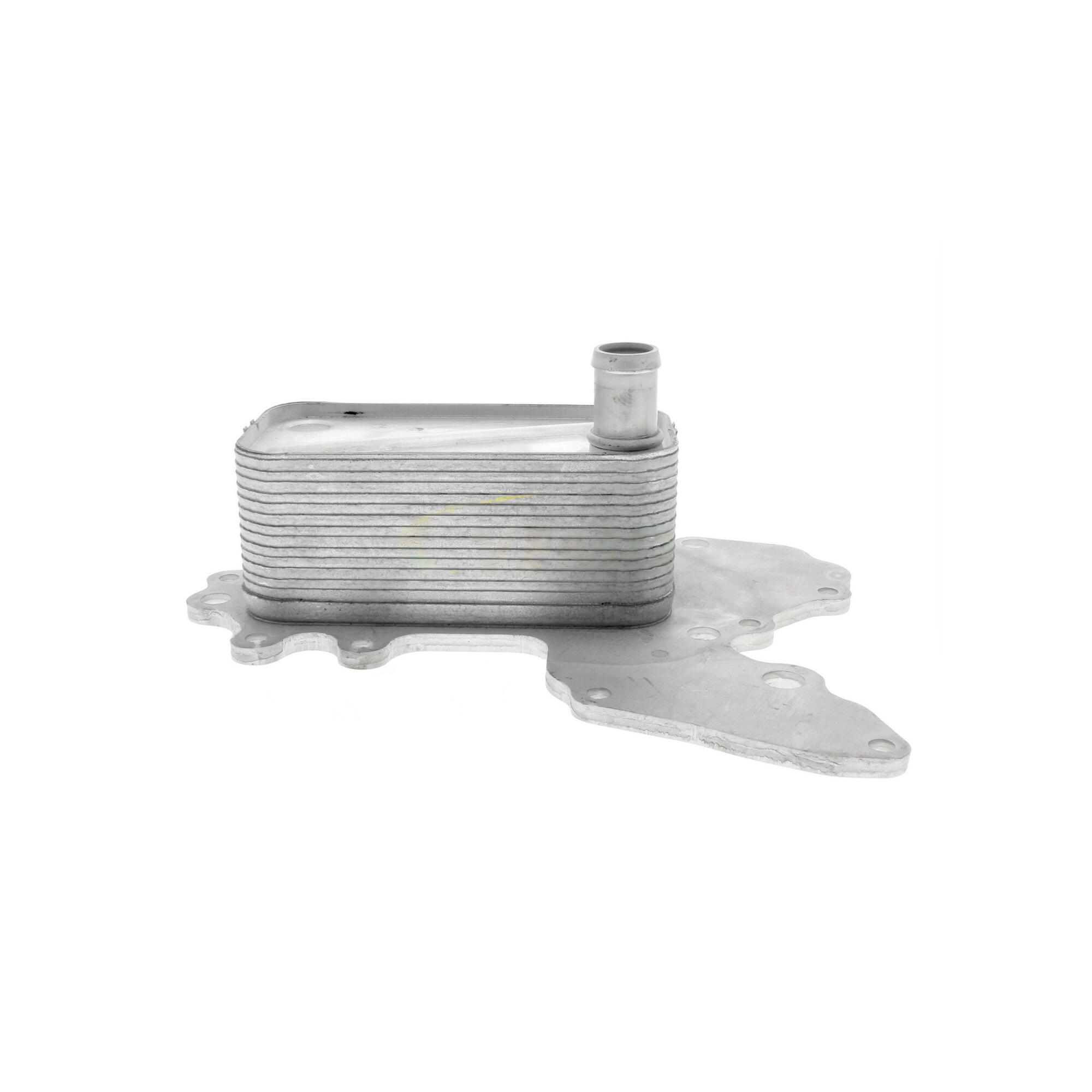 VEMO Oil Cooler, engine oil V40-60-2119