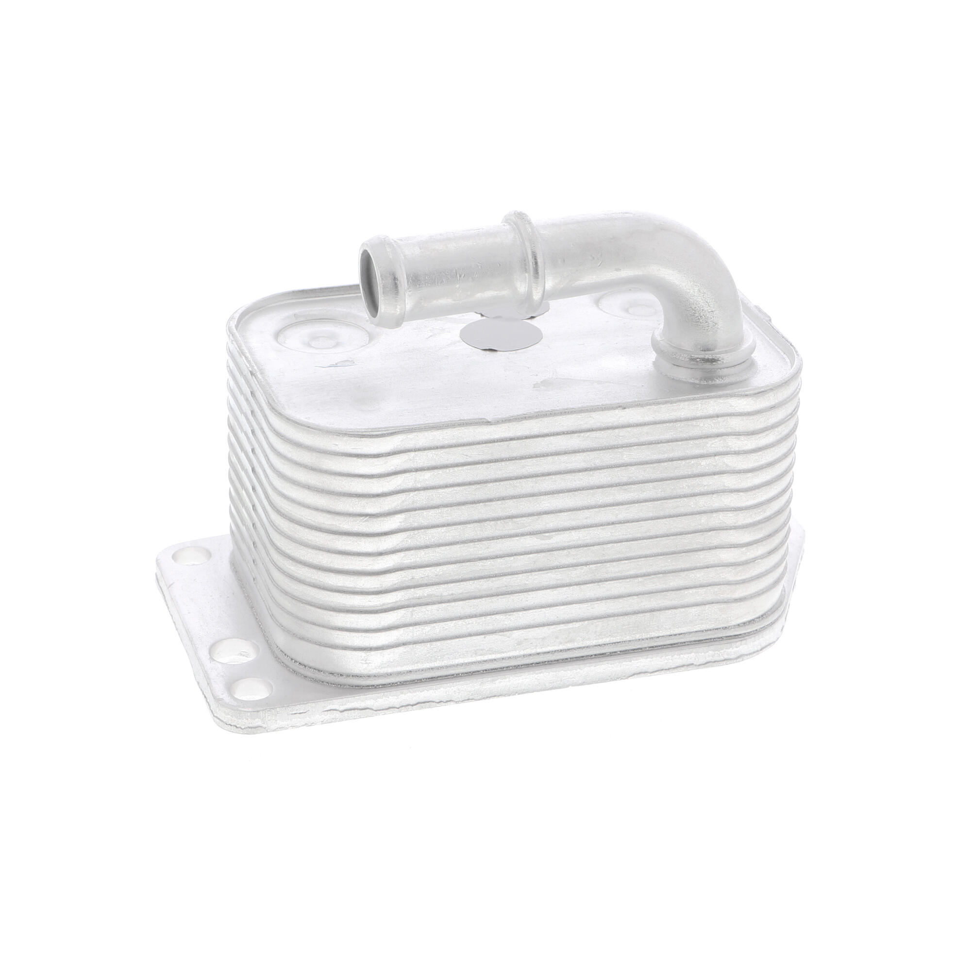 VEMO Oil Cooler, engine oil V42-60-0005