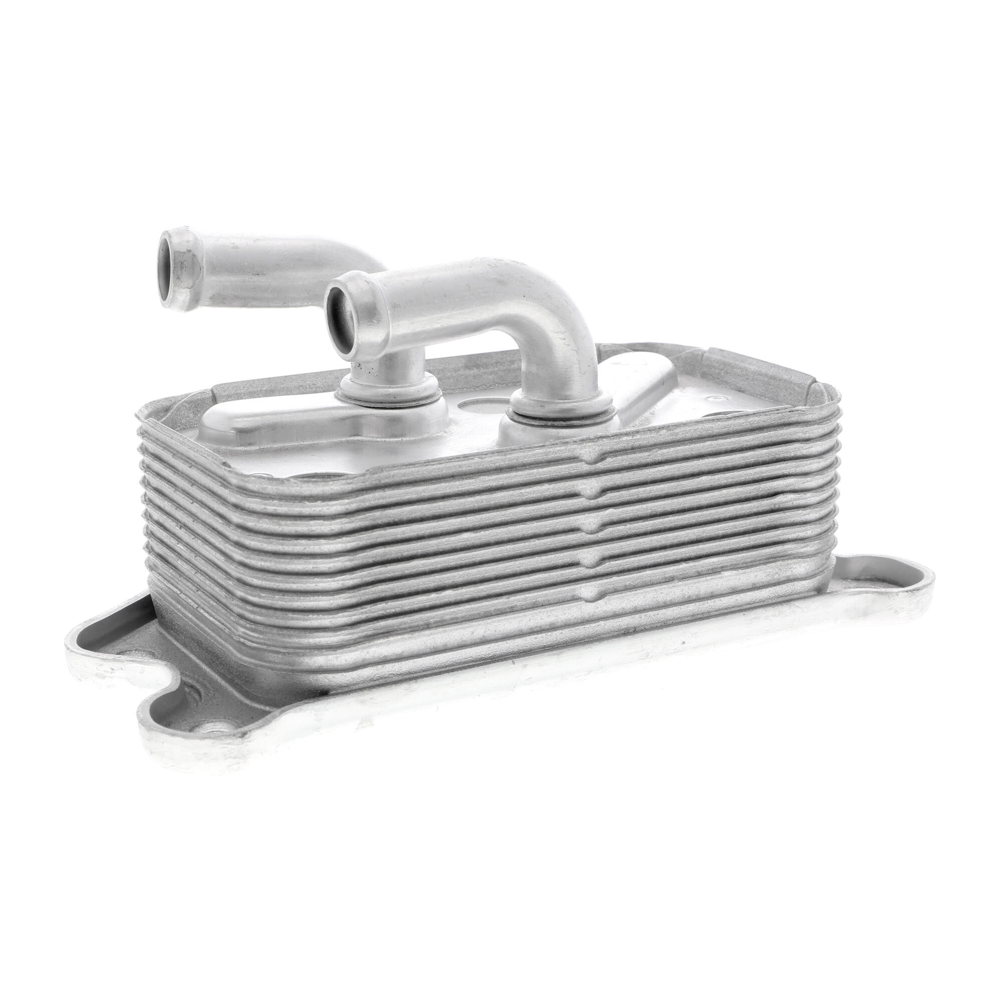 VEMO Oil Cooler, engine oil V95-60-0013