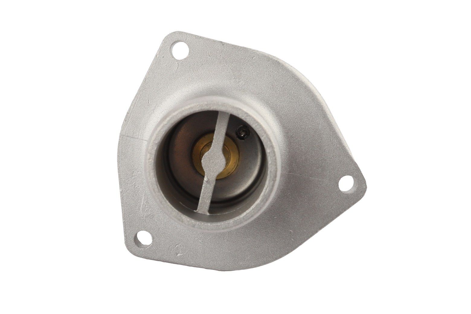 BOGAP Thermostat for coolant C4245124