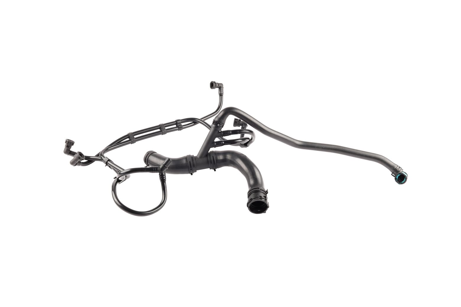 BOGAP Radiator Hose E4228167