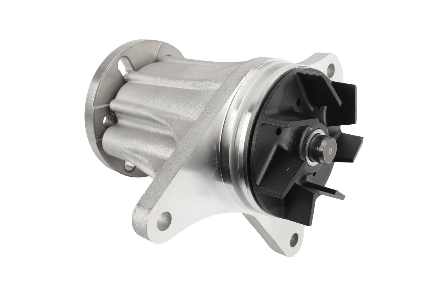 BOGAP Water Pump for engine cooling E4234113