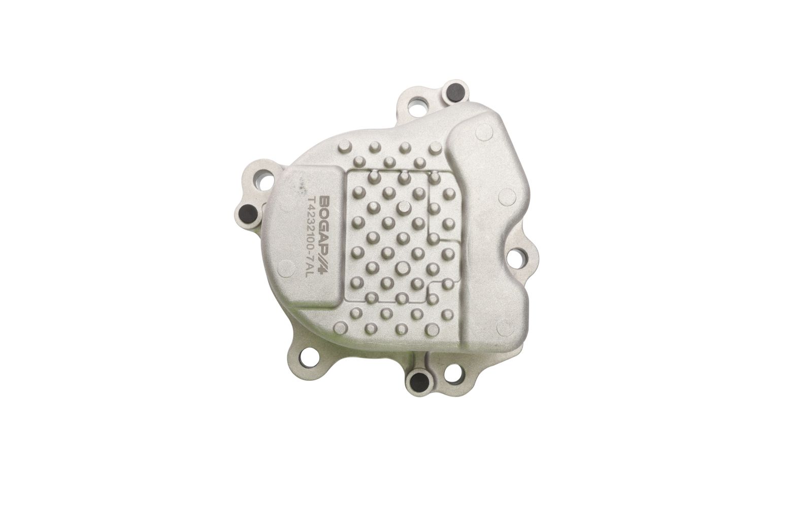 BOGAP Water Pump for engine cooling T4232100