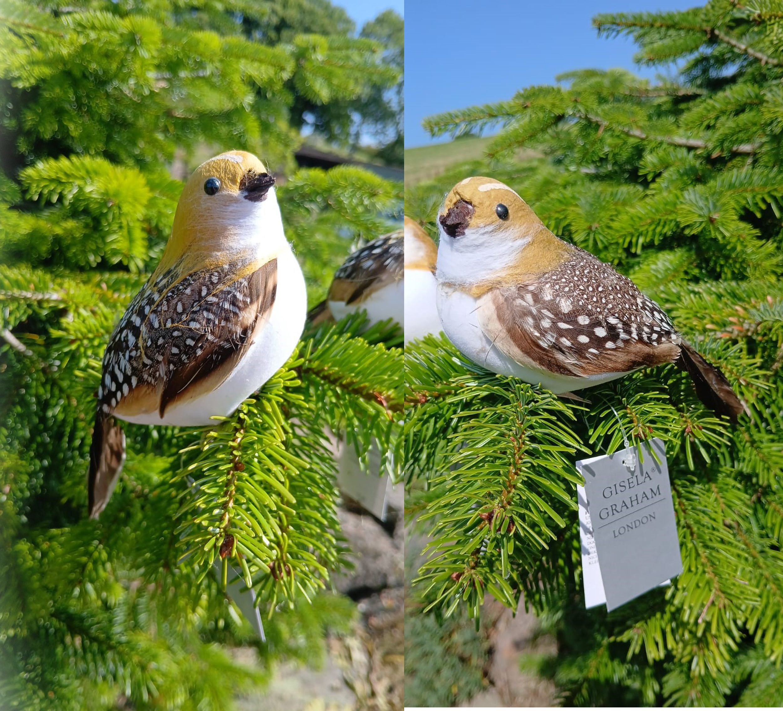 Partridge Christmas Tree Decorations Gisela Graham Clip on Ornaments Garden Bird